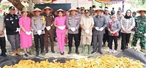 panen3.jpg